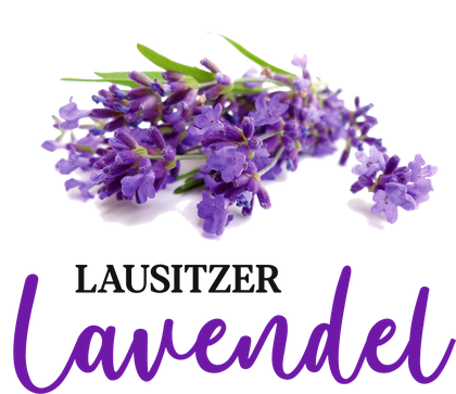 Lausitzer Lavendel